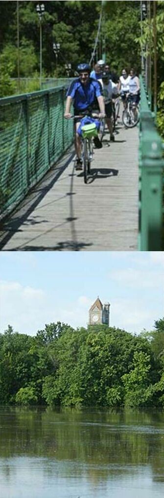 People Biking on Bridge